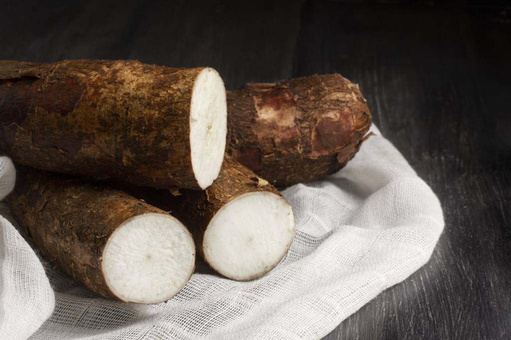 Baixa oferta da mandioca mantém cotação da raiz em alta
