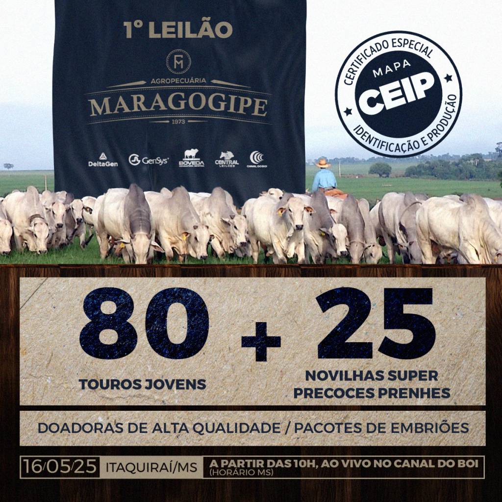 Dia de campo da Agropecuária Maragogipe amanhã às 10h no Canal do Boi