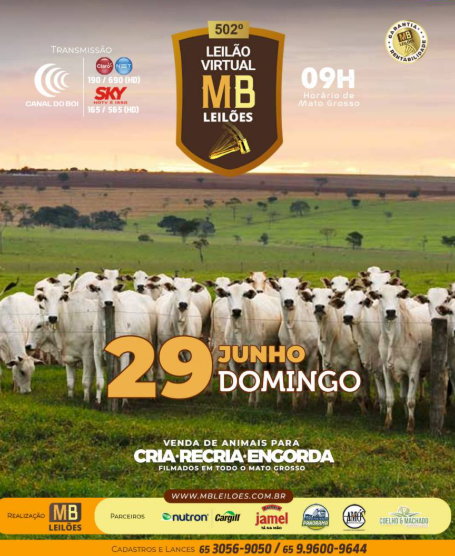 502° Leilão Virtual MB Leilões neste domingo no Canal do Boi