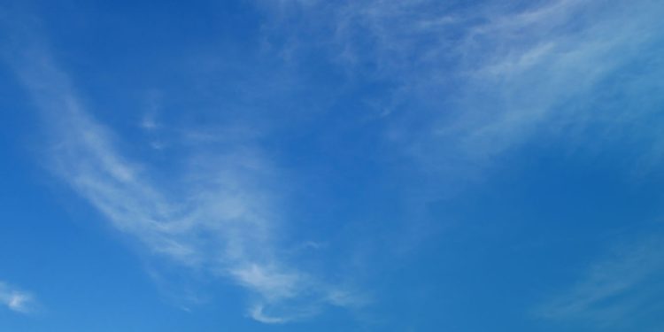 Mesa Brasileira contribui com o Plano Clima e reforça papel da pecuária nas soluções climáticas