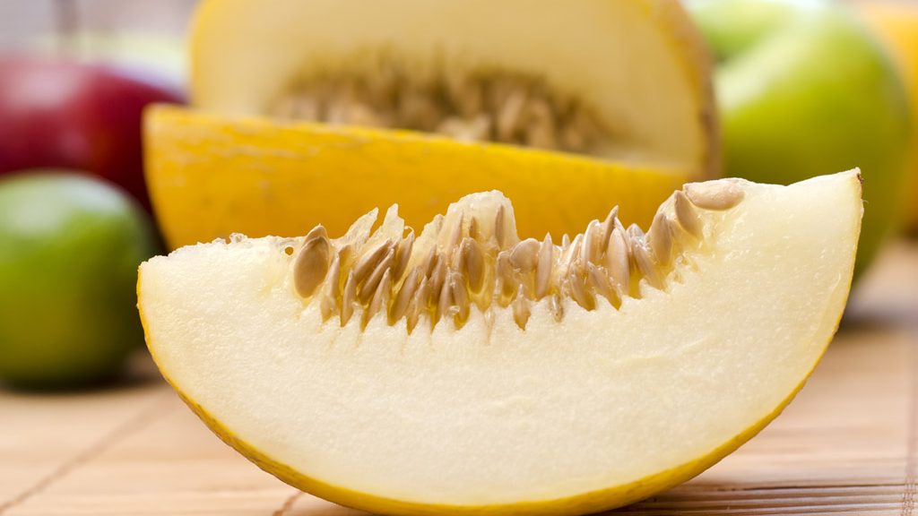 Queda no preço do melão amarelo no Vale do São Francisco gera prejuízo aos produtores