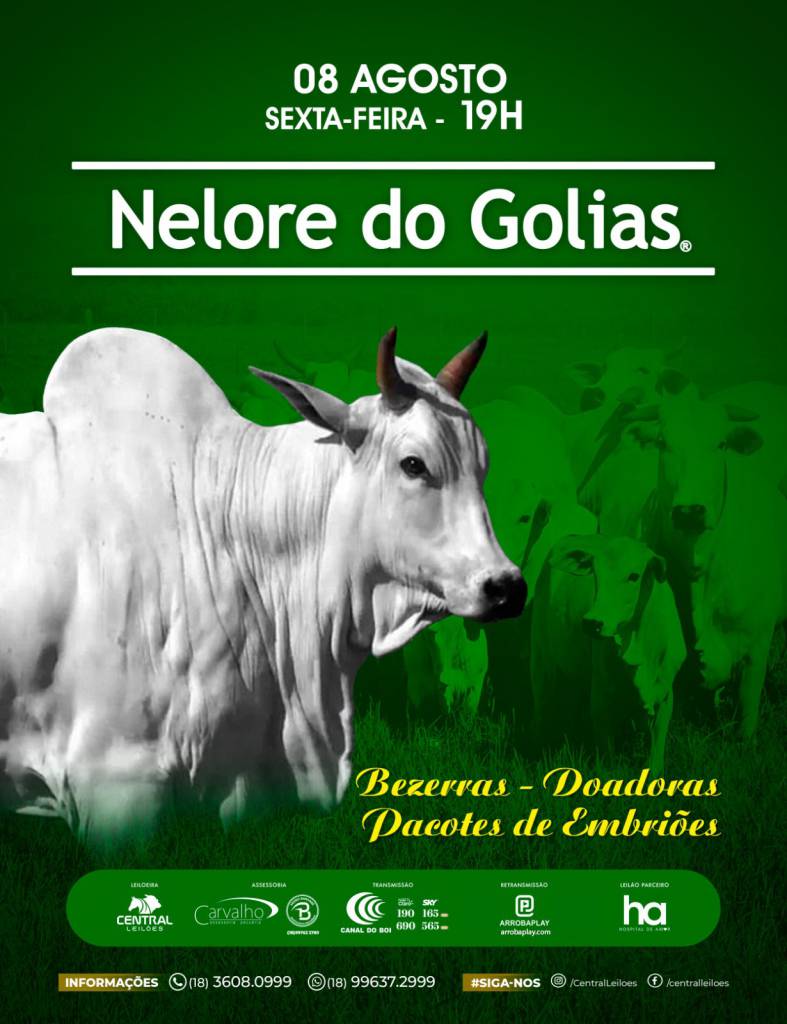 Leilão Nelore do Golias hoje às 19h no Canal do Boi 