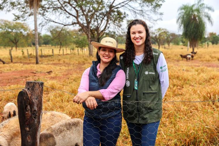 Produtora de Terenos/MS aposta na ovinocultura e faz da atividade a principal fonte de renda