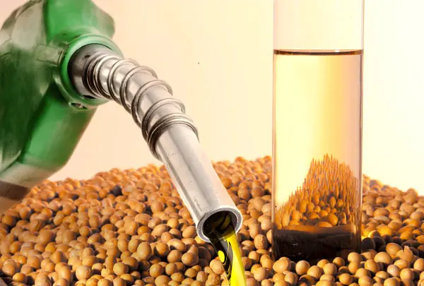 Consumo de biodiesel deve subir 9,0% em 2025 e 6,4% em 2026, aponta StoneX