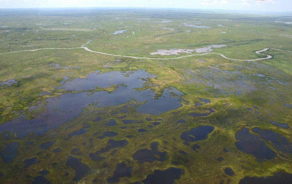 Câmara aprova projeto que protege o Pantanal e garante desenvolvimento sustentável