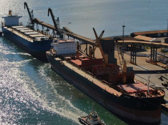 Pecuária lidera exportações do agro catarinense em 2024, com destaque para carne de frango e suína