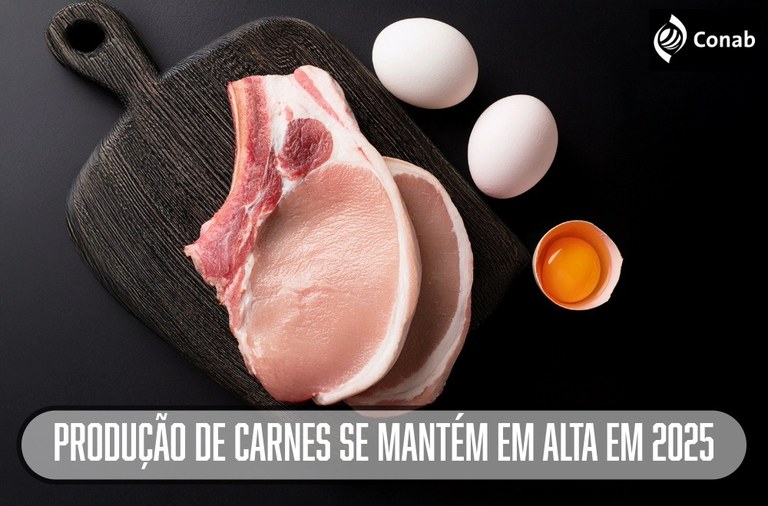 Produção de carnes se mantém acima de 31 milhões de toneladas em 2025