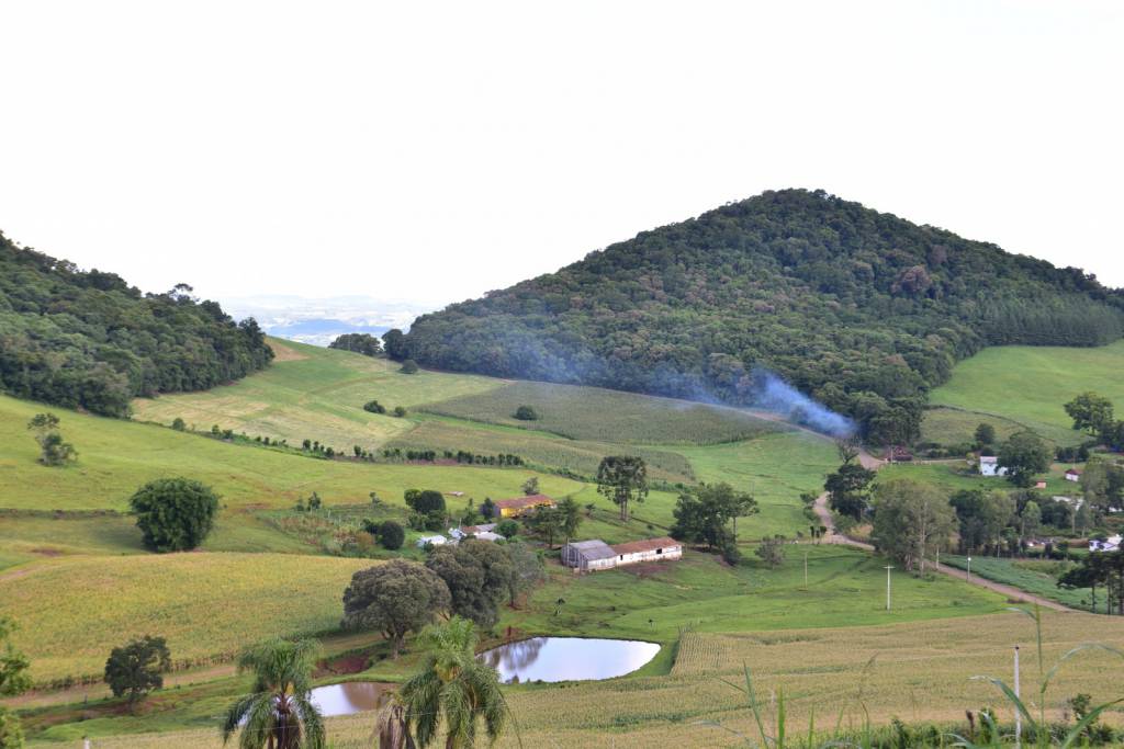 Com incentivo do Governo do Estado, produtor catarinense pode ter financiamento com juro zero no Plano Safra