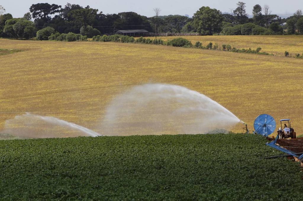 PR: Com 7,8 mil projetos, Banco do Agricultor já liberou R$ 1 bilhão para produtores rurais