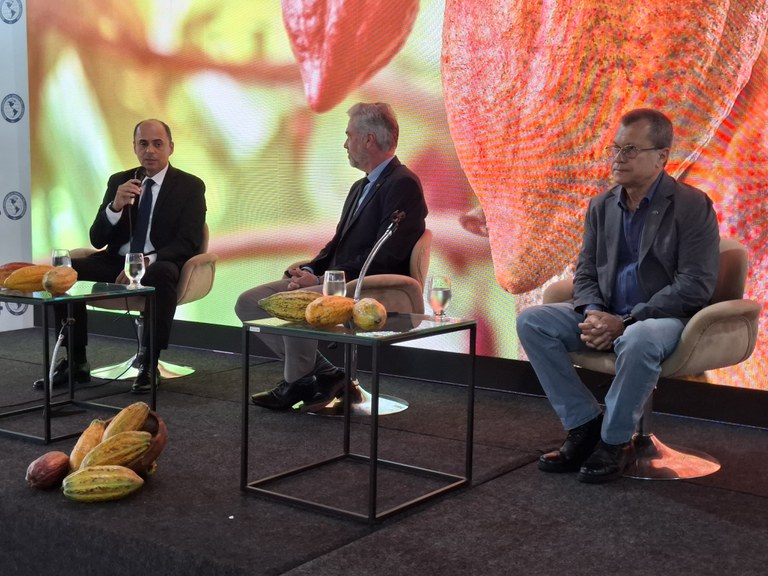 Mapa e IICA promovem seminário para dialogar a validação de ações estratégicas para a implementação do Projeto Cacau Brasil Agrofloresta