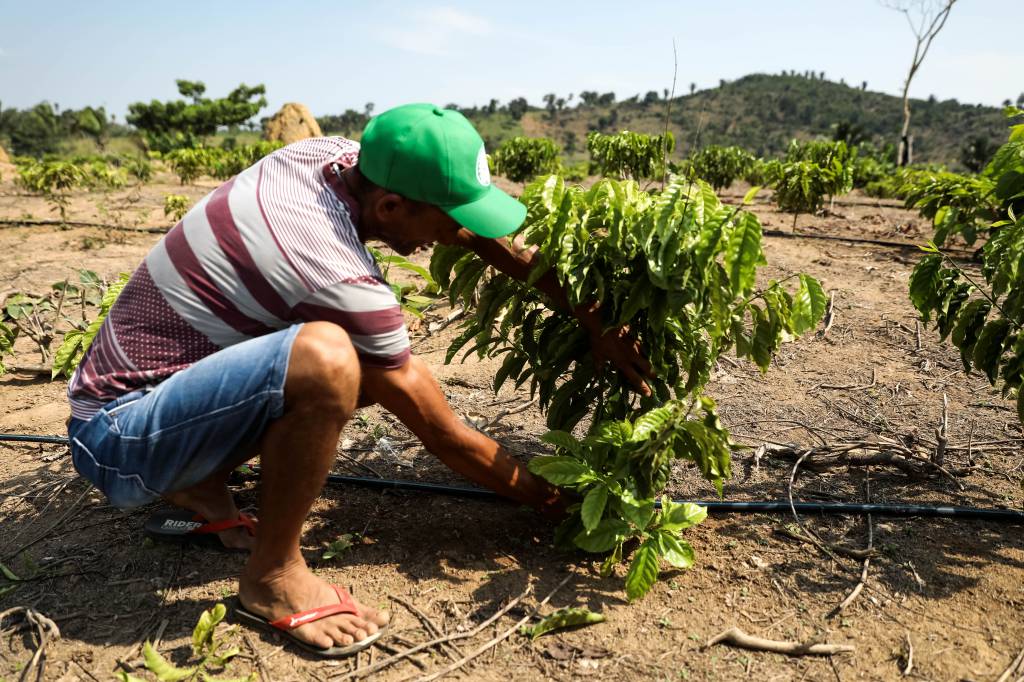Governo do Estado avança na implementação do projeto MT Produtivo com foco na agricultura familiar sustentável