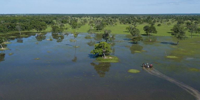 Semadesc divulga resultado preliminar do PSA Conservação com mais de 50 propriedades habilitadas no Pantanal