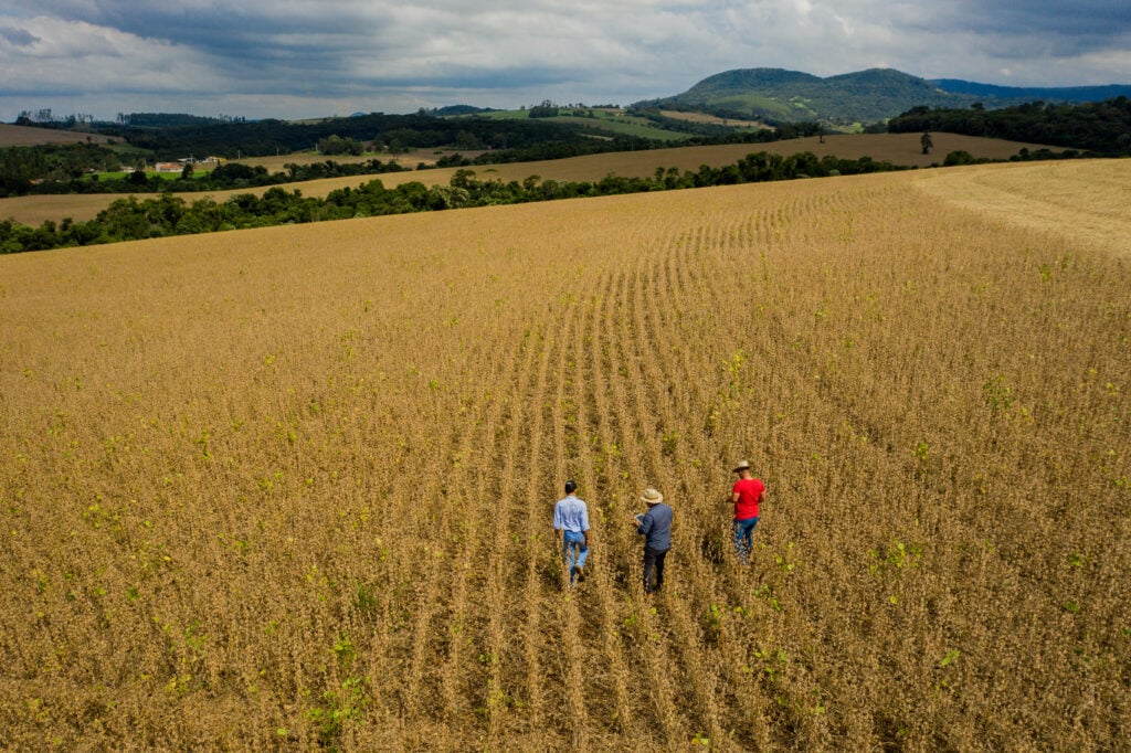BASF revela avanços do programa global de agricultura de baixo carbono