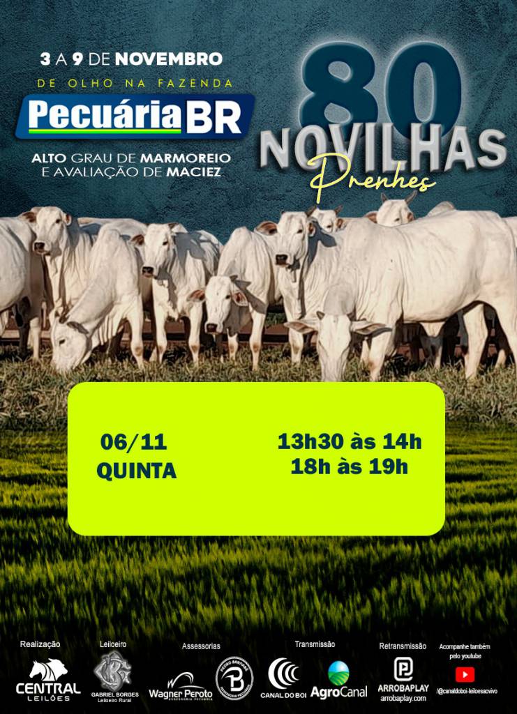 De Olho na Fazenda Pecuária BR hoje  no Canal do Boi e Agro Canal