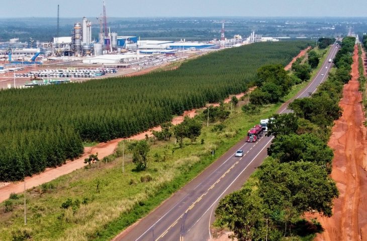 Rota da Celulose vai a leilão na quinta-feira com 4 concorrentes e R$ 10 bi em investimentos
