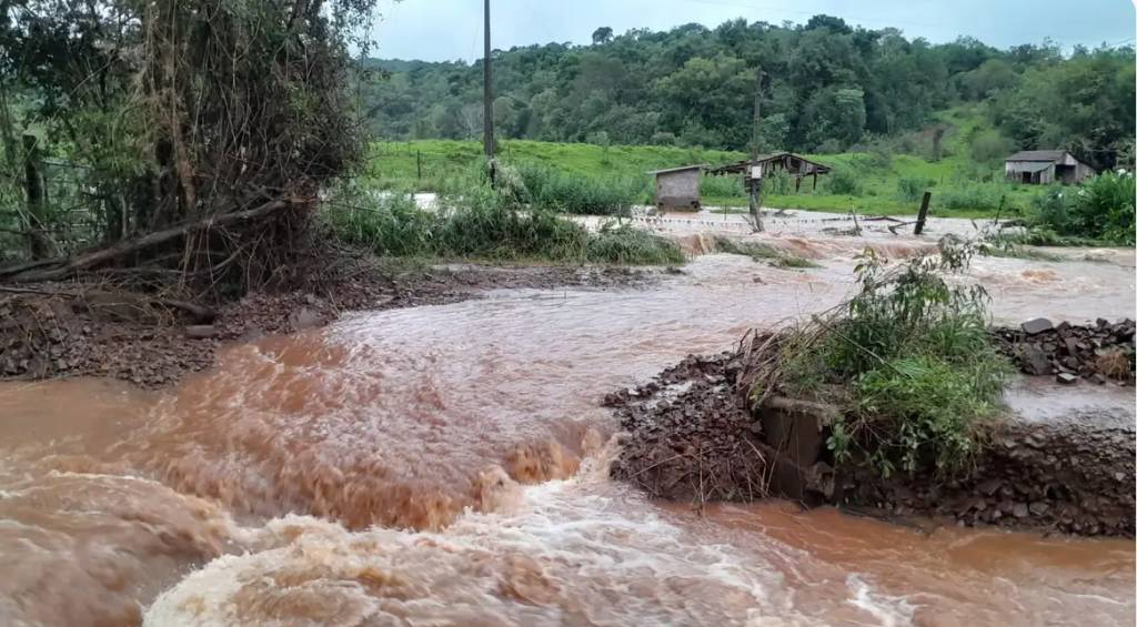 Recuperar vegetação degradada no RS ajuda a prevenir tragédias