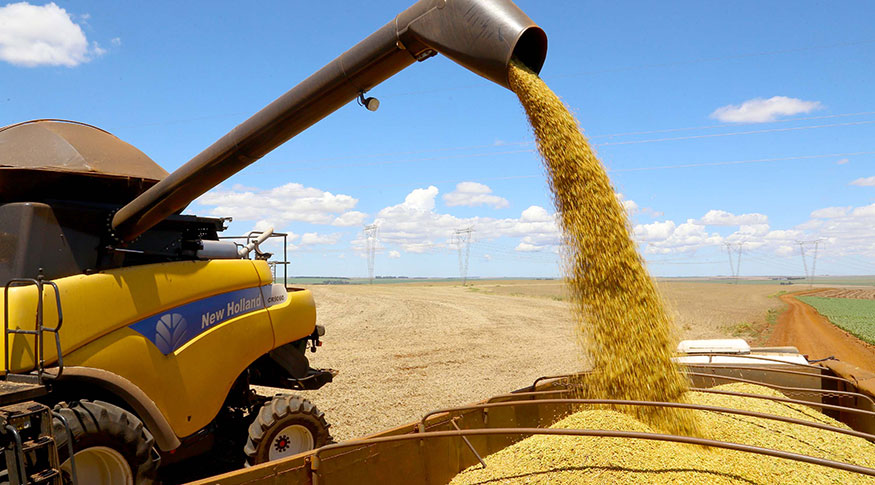 Estimativa de abril indica safra recorde de 328,4 milhões de toneladas em 2025