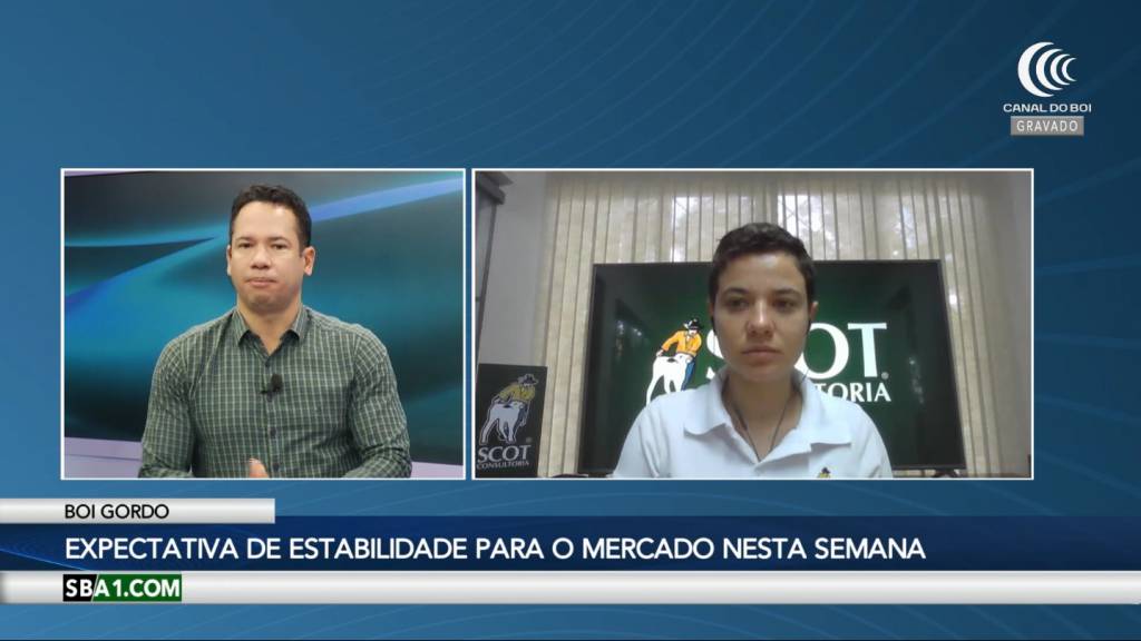 Mercado do boi gordo deve seguir estável nesta semana