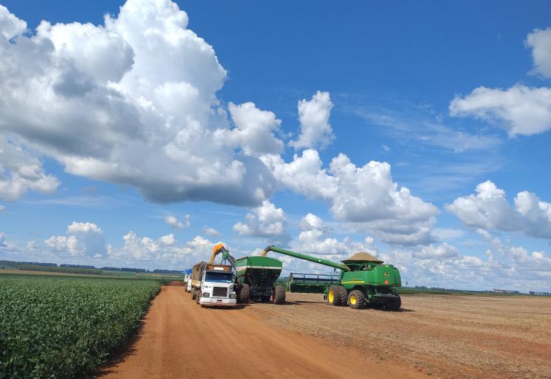 Soja e milho puxam crescimento do agro em abril no Estado de MS