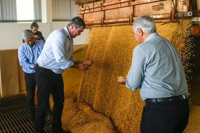 Capacidade de processar soja em MS crescerá 20% com novo empreendimento em Maracaju