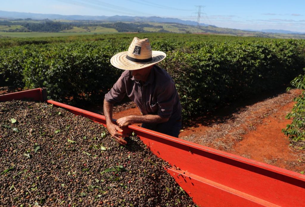 São Paulo lidera ranking nacional de investimento em Seguro Rural