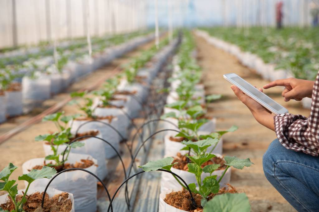 PL das Startups avança na Câmara com incentivos para tecnologia agrícola