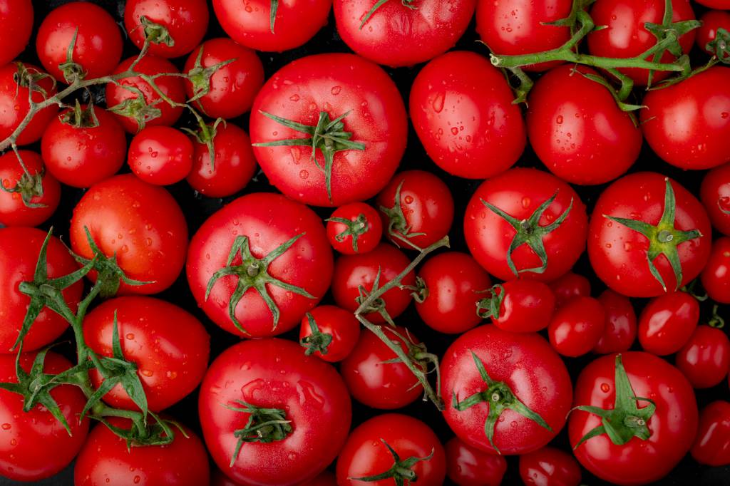 Queda do tomate no atacado é destaque em pesquisa de preços de agosto da Conab