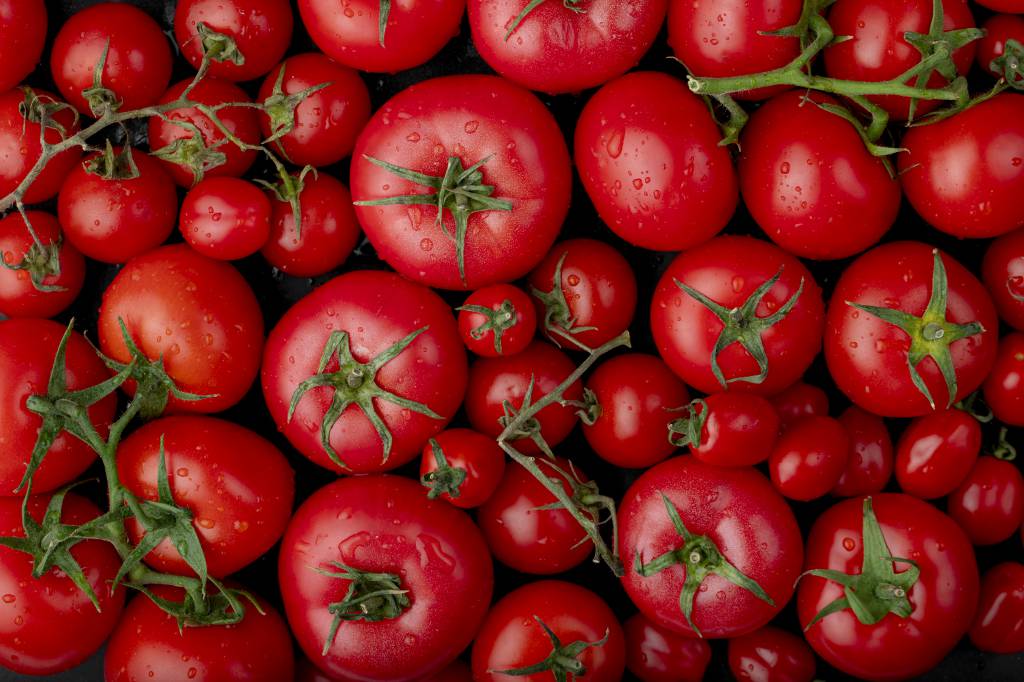 Maior oferta de tomates pressiona cotações no atacado