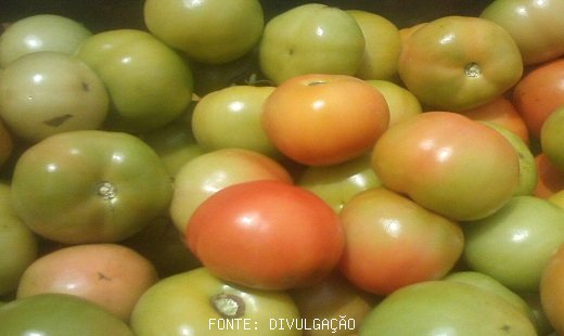 Maturação lenta dos tomates devido à queda de temperatura