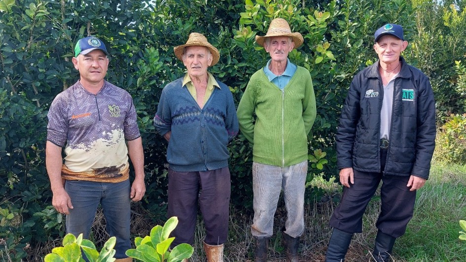 Viadutos honra o passado e projeta o futuro da erva-mate na Festa da Colheita