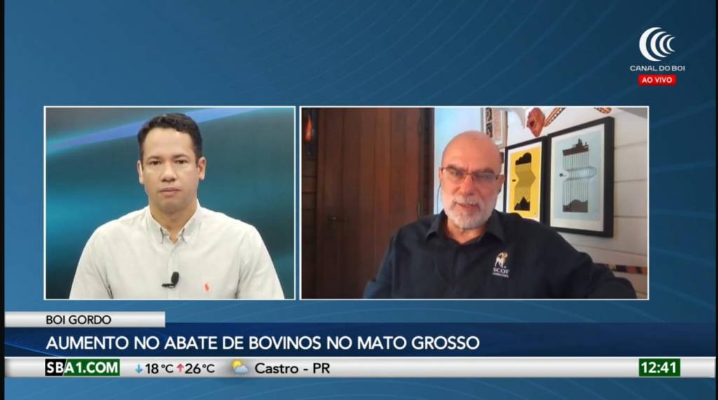 Grande oferta de bovinos pressiona ainda mais os preços do boi gordo