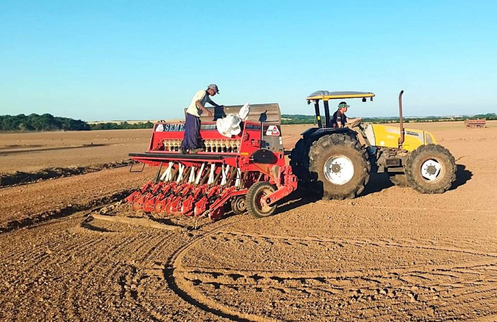 Rio Grande do Sul atinge 84% de área semeada do arroz