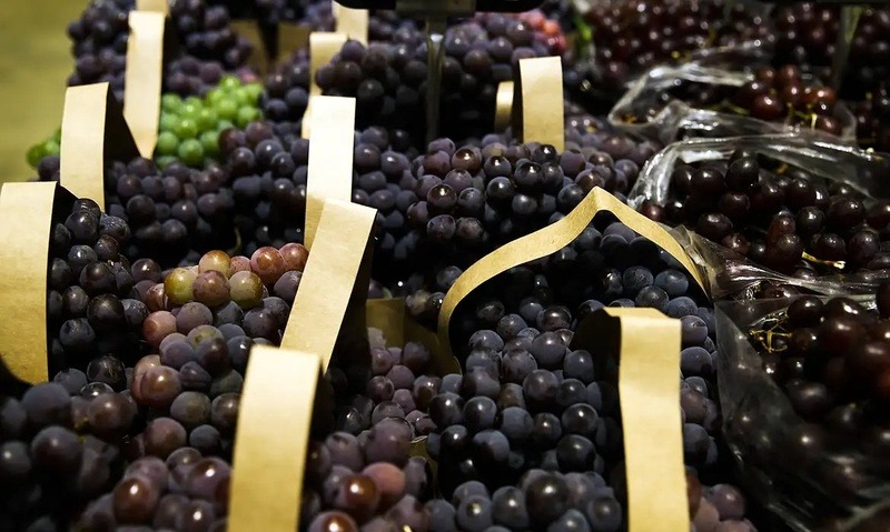 Setor de hortifrutis projeta retomada das exportações brasileiras aos EUA com o fim do tarifaço