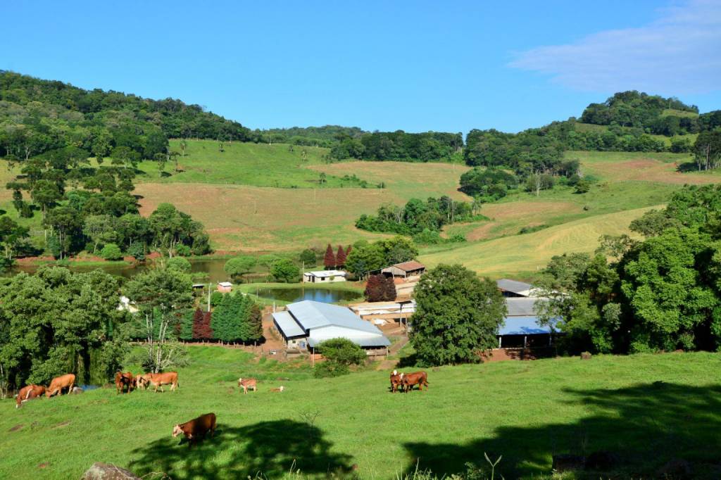 SAR libera R$ 15,8 milhões em abril em programas de apoio direto aos agricultores