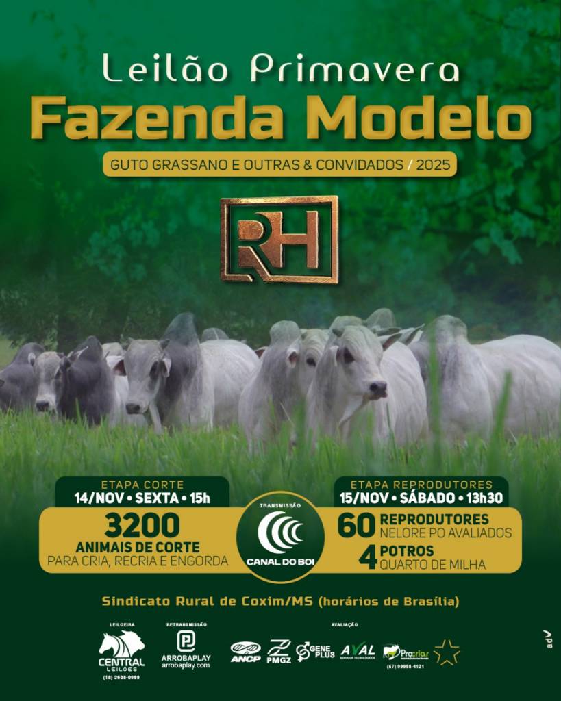 Leilão Primavera Fazenda Modelo Guto Grassano - Etapa Corte hoje às 15h no Canal do Boi 