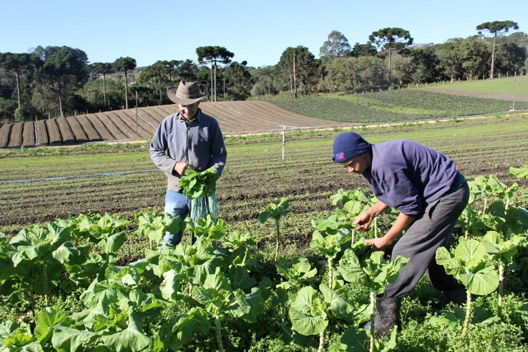 Projeto de lei propõe que agricultores familiares tenham direito a seguro-desemprego em caso de perda de safra