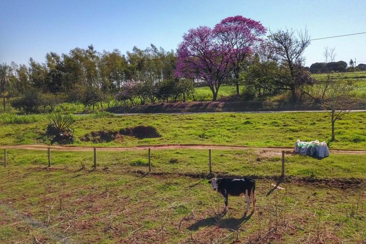 Feira da agricultura familiar promove inovações e sustentabilidade no setor rural do Maranhão