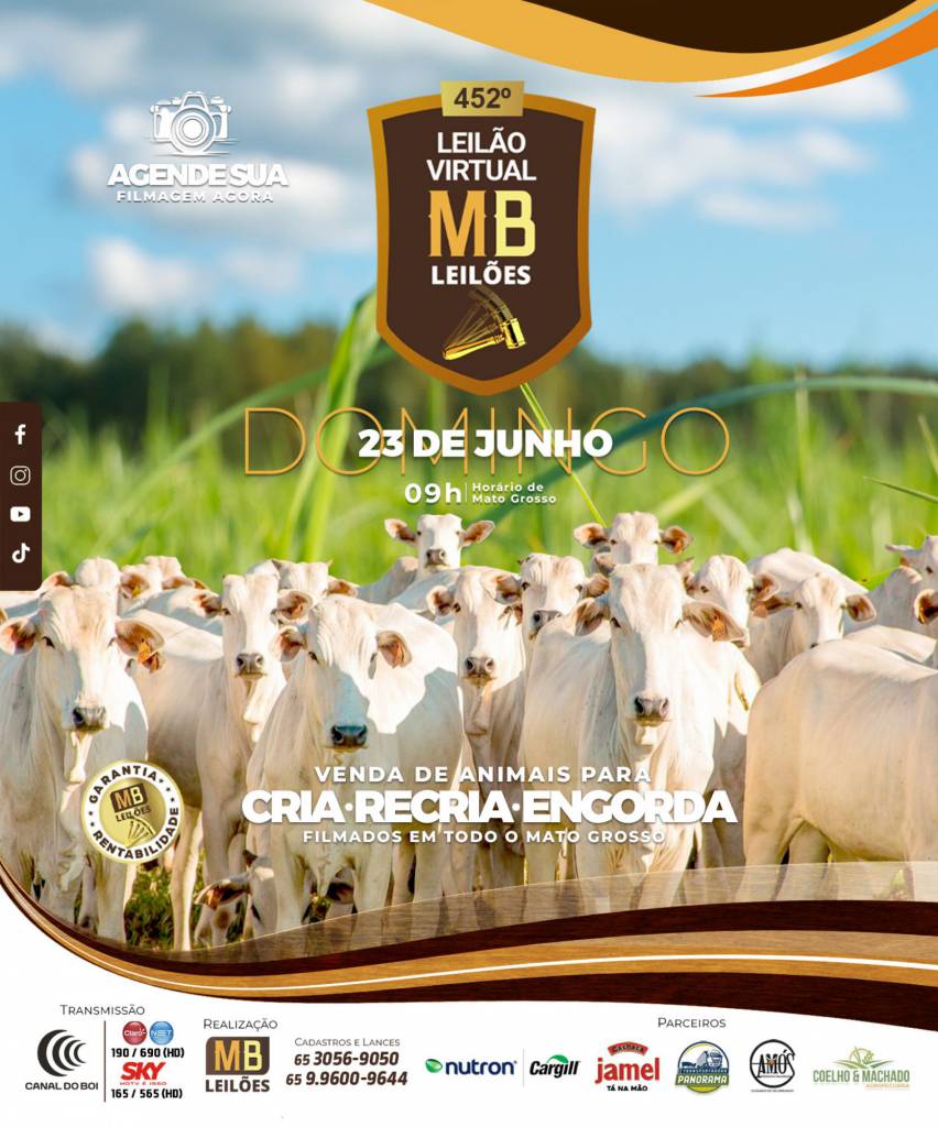 MB Leilões oferta animais para cria, recria e engorda neste domingo no Canal do Boi