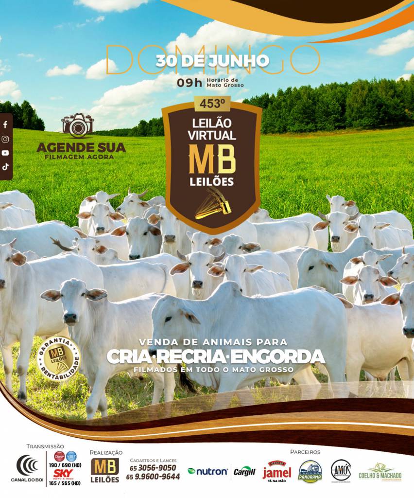 453° Leilão Virtual MB Leilões neste domingo no Canal do Boi