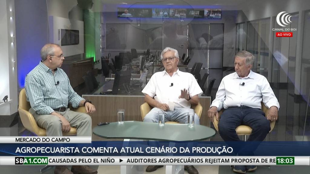 Mercado do boi gordo: concentração de frigoríficos é danosa para a pecuária de corte