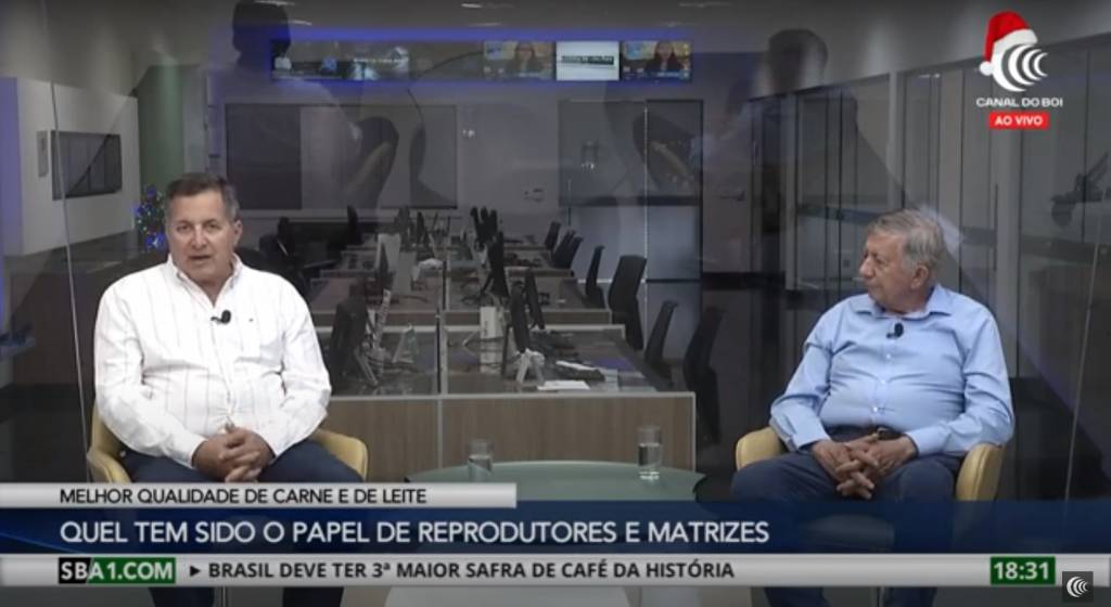 Uso do melhoramento genético bovino ampliou os resultados no campo