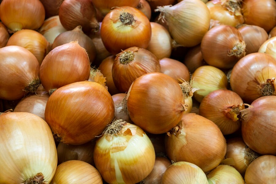 Excesso de cebolas no Nordeste faz preços despencarem