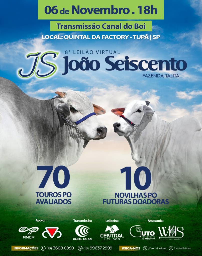 8º Leilão Virtual João Seiscento hoje às 18h30 no Canal do Boi 