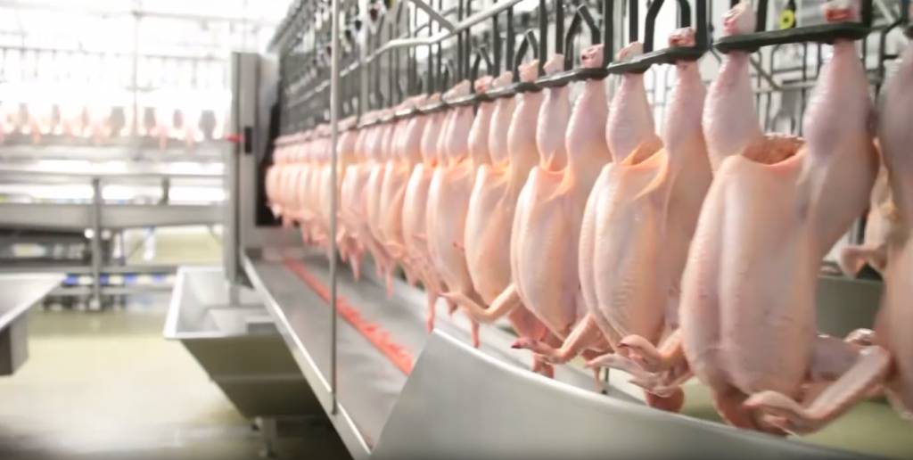 Fraca demanda de produtos avícolas pressiona cotações de março