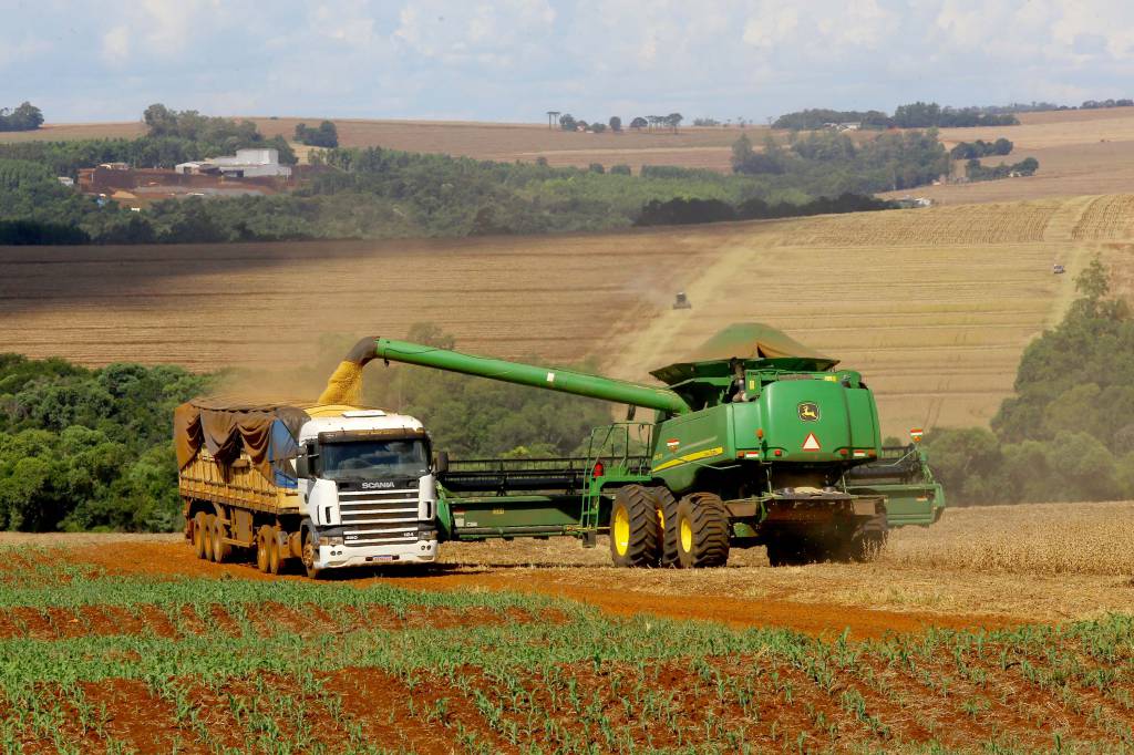 Pressão externa influencia mercado brasileiro de soja