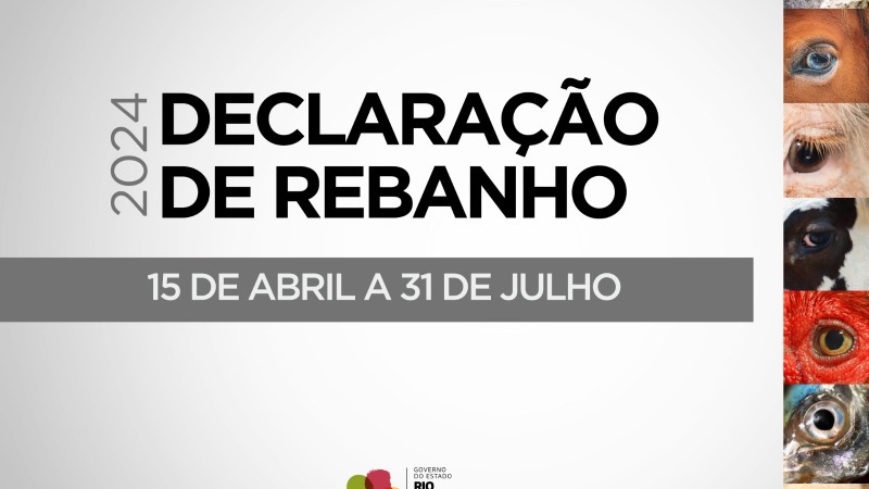 Prazo para Declaração Anual do Rebanho termina em 31 de julho no Rio Grande do Sul