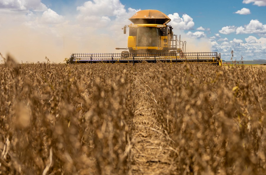 CNA: governo 'fecha portas' do crédito rural com tributação de títulos agrícolas