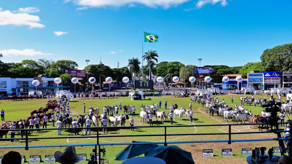 Jurados da 90ª ExpoZebu elegem os Grandes Campeões da feira, em Uberaba (MG)
