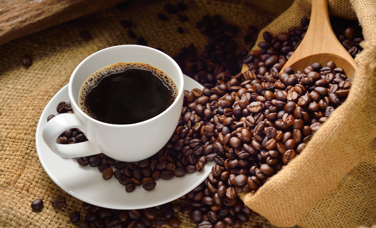 Funcafé garante crédito e fortalece o setor cafeeiro no Brasil