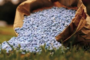 Fertilizantes/StoneX: conflito na Venezuela representa risco pequeno à oferta